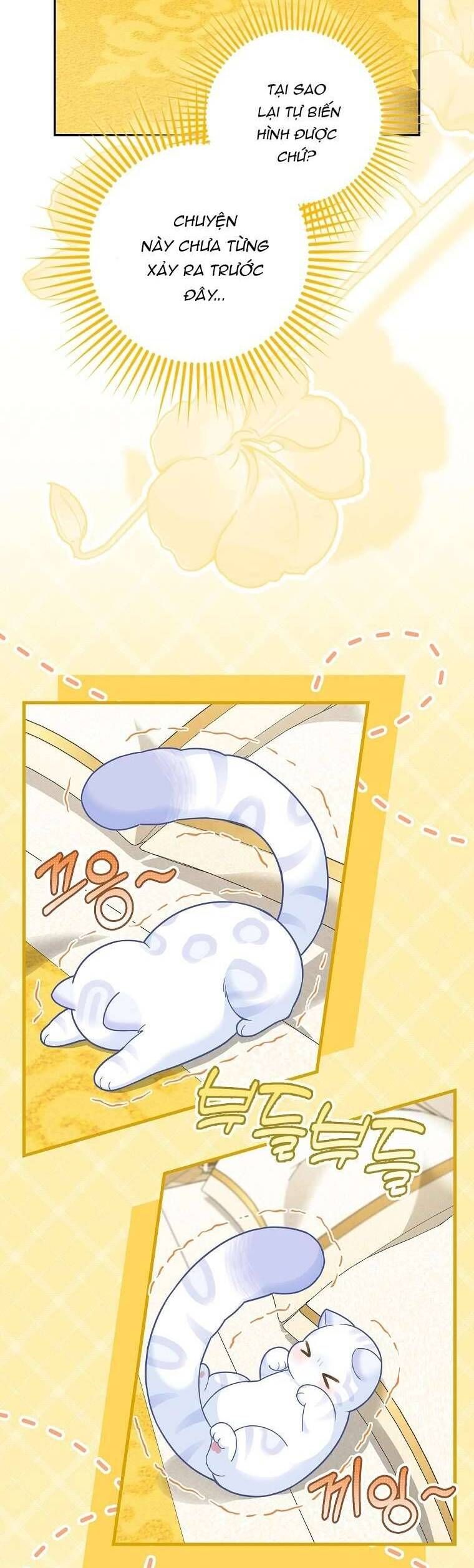 Bé Con Báo Tuyết Của Gia Tộc Báo Đen Chap 21 - Next Chap 22