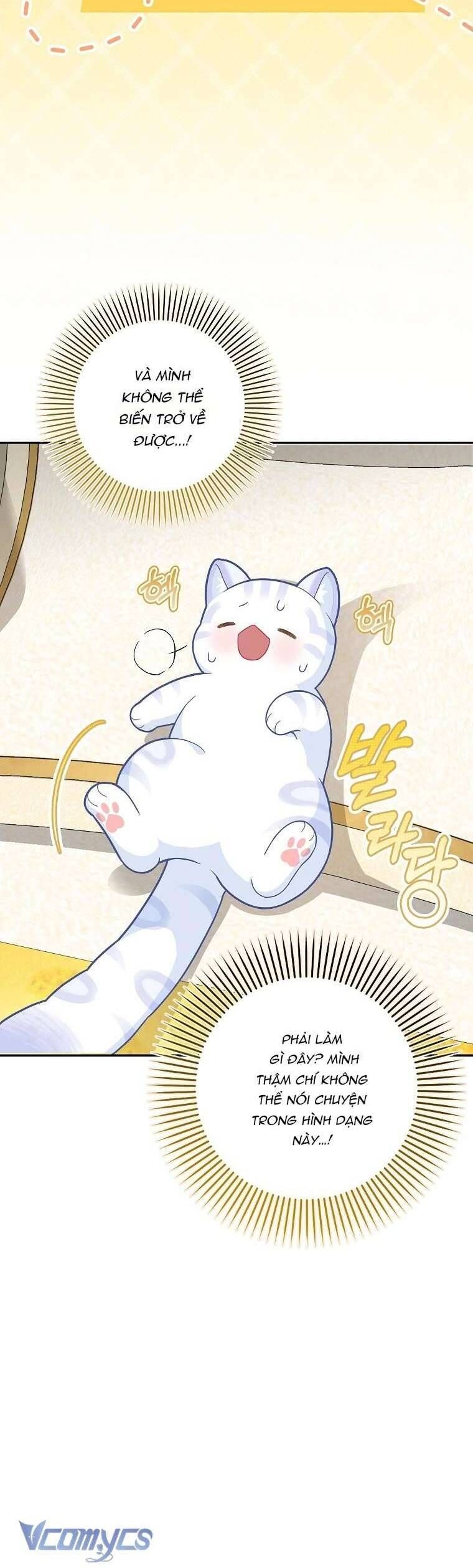 Bé Con Báo Tuyết Của Gia Tộc Báo Đen Chap 21 - Next Chap 22