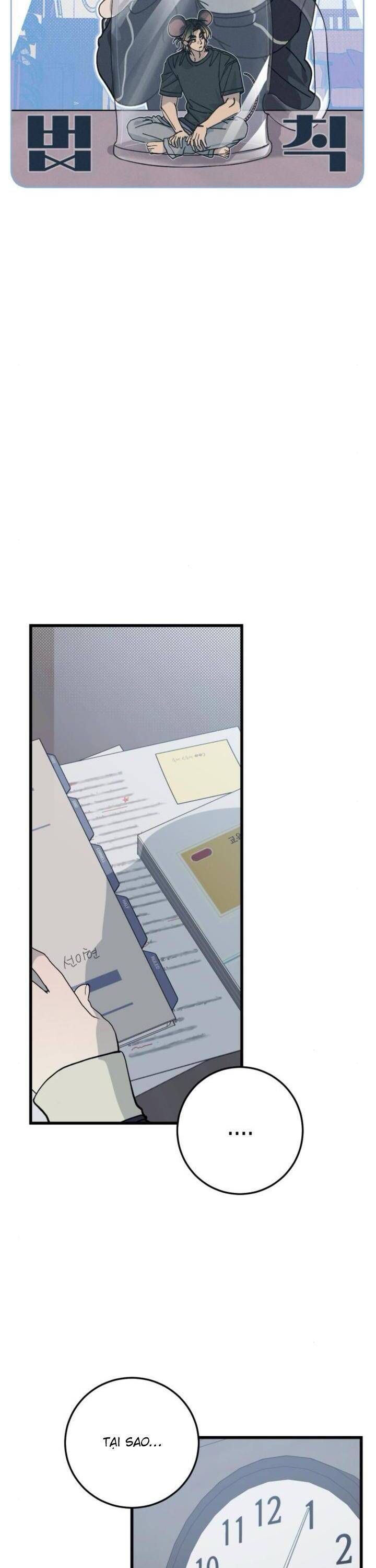 Quy Luật Về Rác Rưởi Chap 6 - Next Chap 7