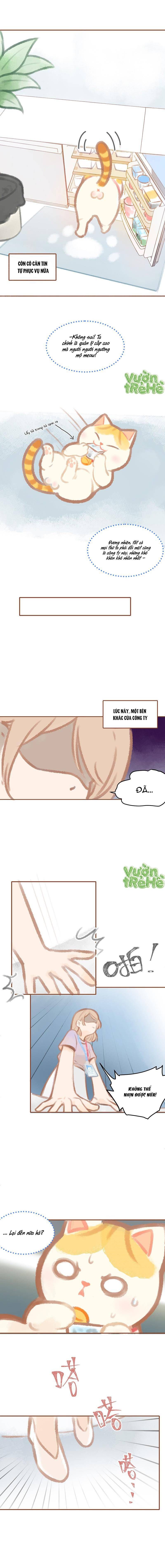 Lục Lạc Mèo Chap 1 - Next Chap 2