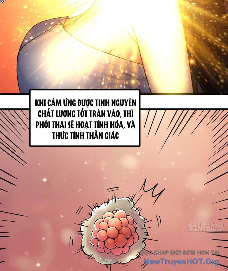 Sau Khi Đầu Thai, Ta Được Kẻ Thù Khắc Thành Vô Địch Chap 1 - Next Chap 2