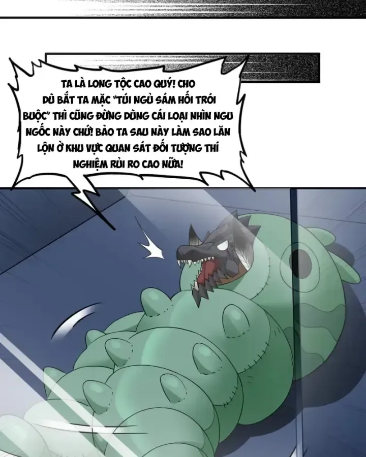 Luyện Kim Thuật Sĩ Tà Ác Không Trị Nổi Thể Thí Nghiệm Của Mình Chap 5 - Next Chap 6