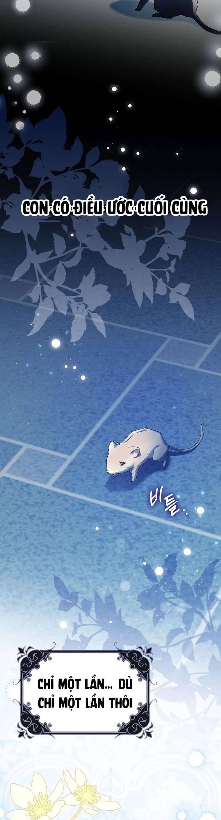 Chuột Đồng Này Sẽ Đưa Lọ Lem Đi Chap 1 - Next Chap 2