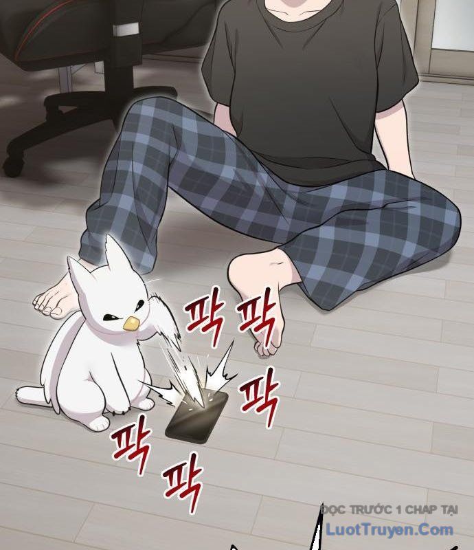 Chào Nhé, Chú Vẹt Mắt Tròn Griffin! Chap 12 - Next Chap 13