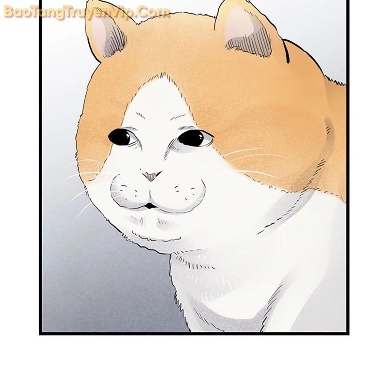 Sự Bí Ẩn Của Học Sinh Chuyển Trường Chap 0 - Next Chap 1