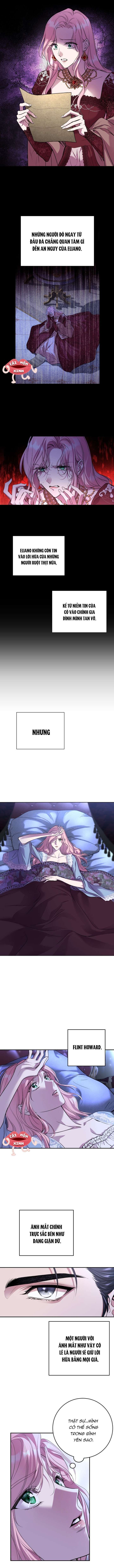 Cuộc Hôn Nhân Bị Bắt Cóc Xuyên Thời Gian Của Hoàng Hậu Chap 2 - Next Chap 3