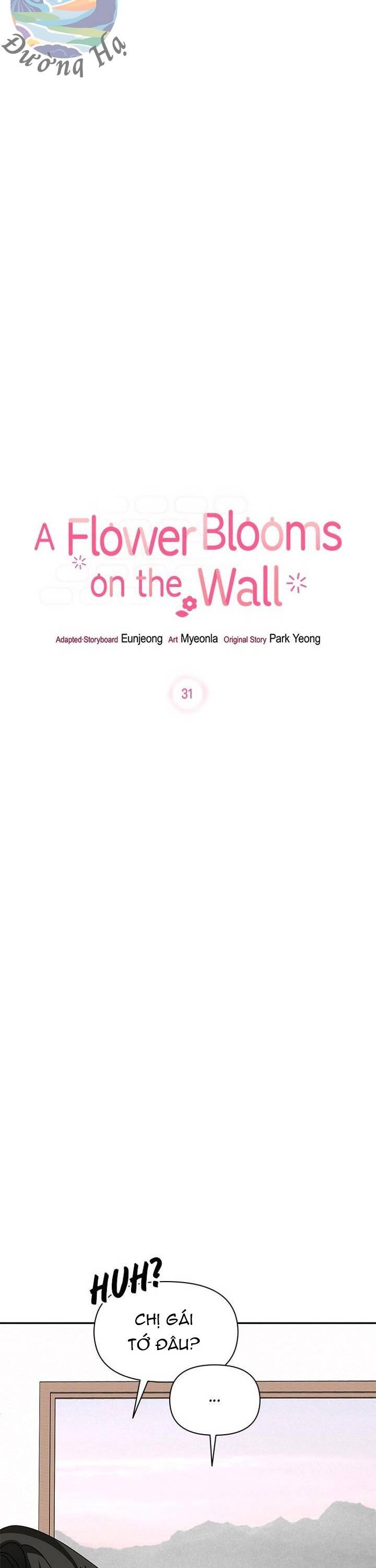 Một Bông Hoa Nở Trên Tường Chap 31 - Next Chap 32
