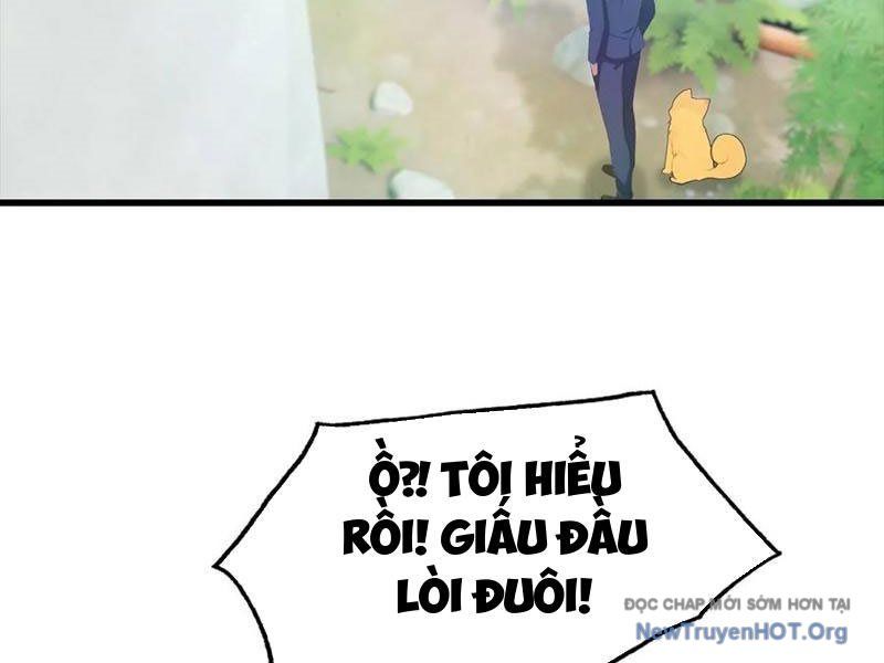 Đô Thị Thánh Thủ: Ta Là Y Võ Đỉnh Phong Chap 127 - Next Chap 128