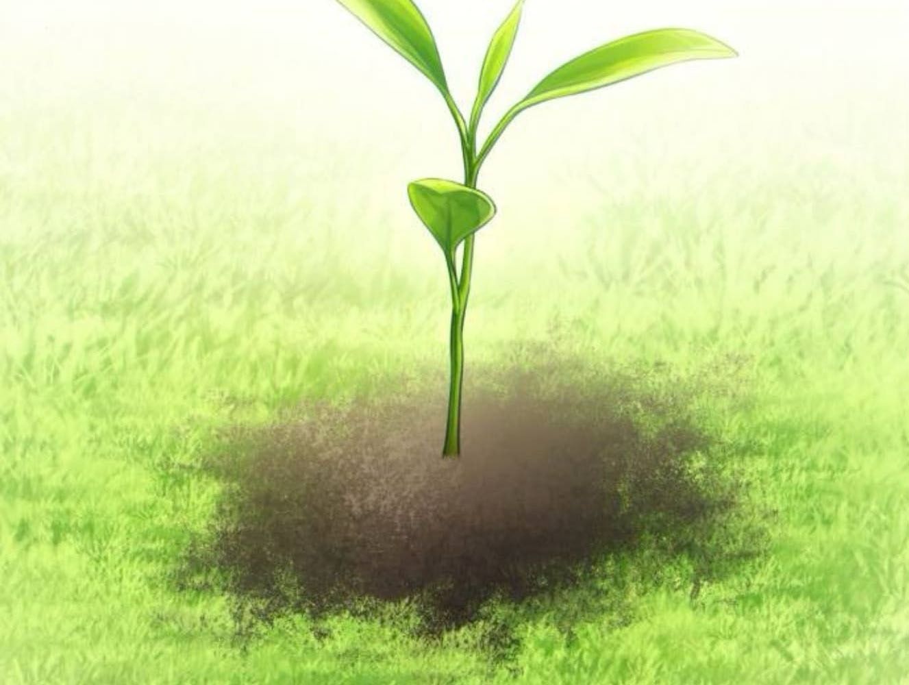 Yeonwoo's Innocence Chap 181 - Next Chap 182