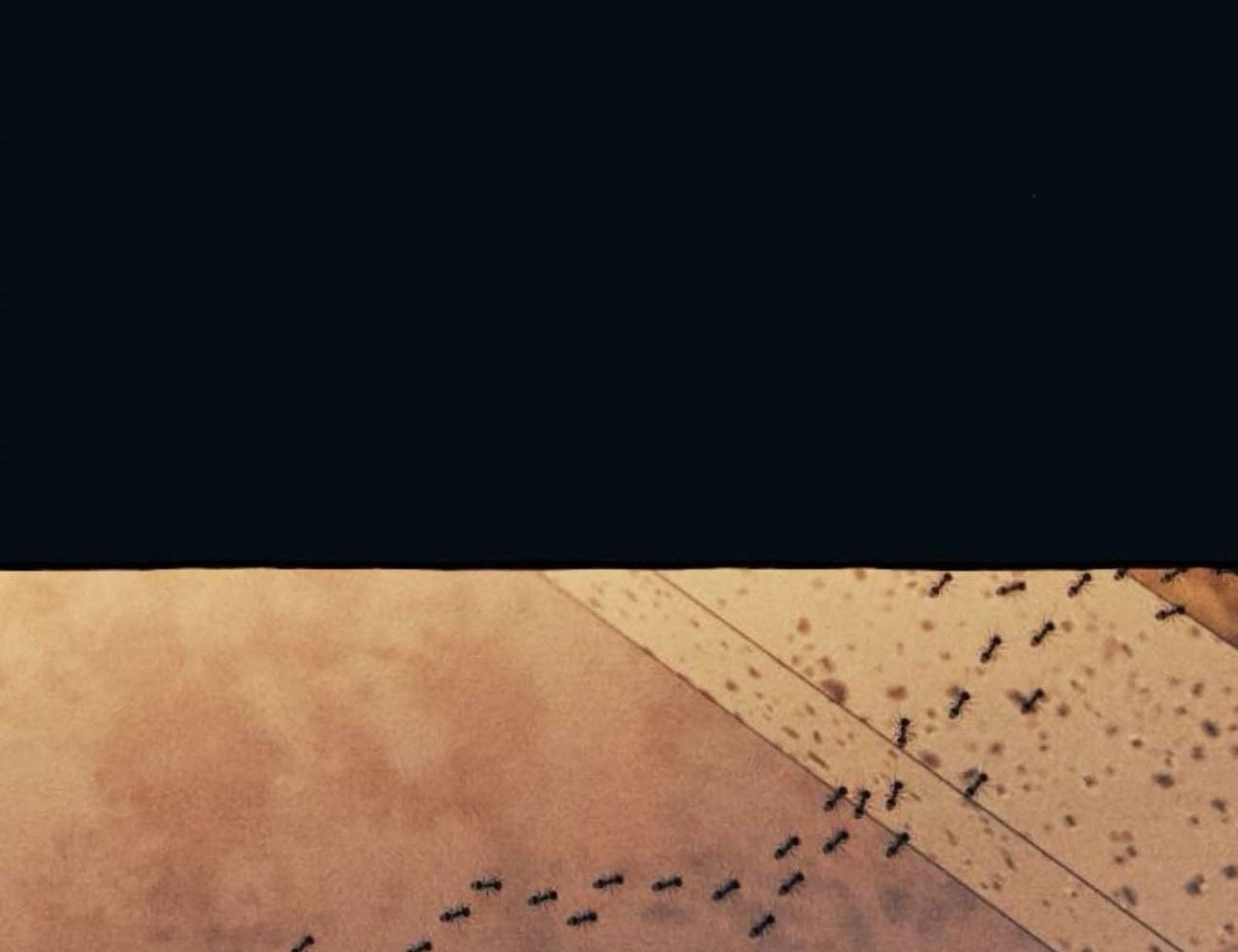 Yeonwoo's Innocence Chap 188 - Next Chap 189