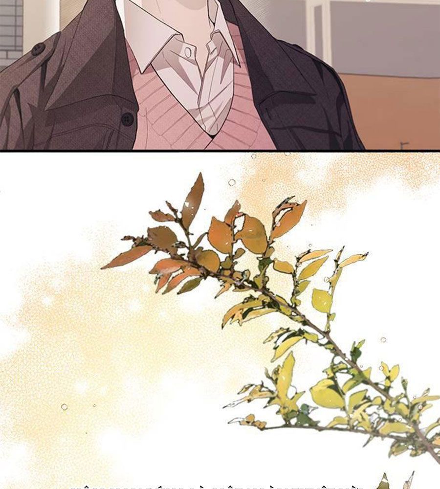 Yeonwoo's Innocence Chap 83 - Next Chap 84