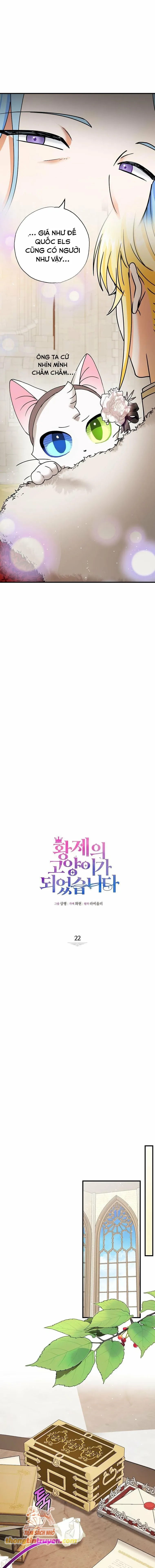 Trở Thành Miêu Nữ Của Hoàng Đế Chap 22 - Next Chap 23