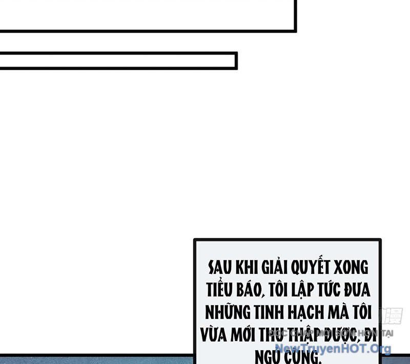 Ta Dựa Vào Tu Tiên Xưng Bá Mạt Thế Chap 12 - Next Chap 13