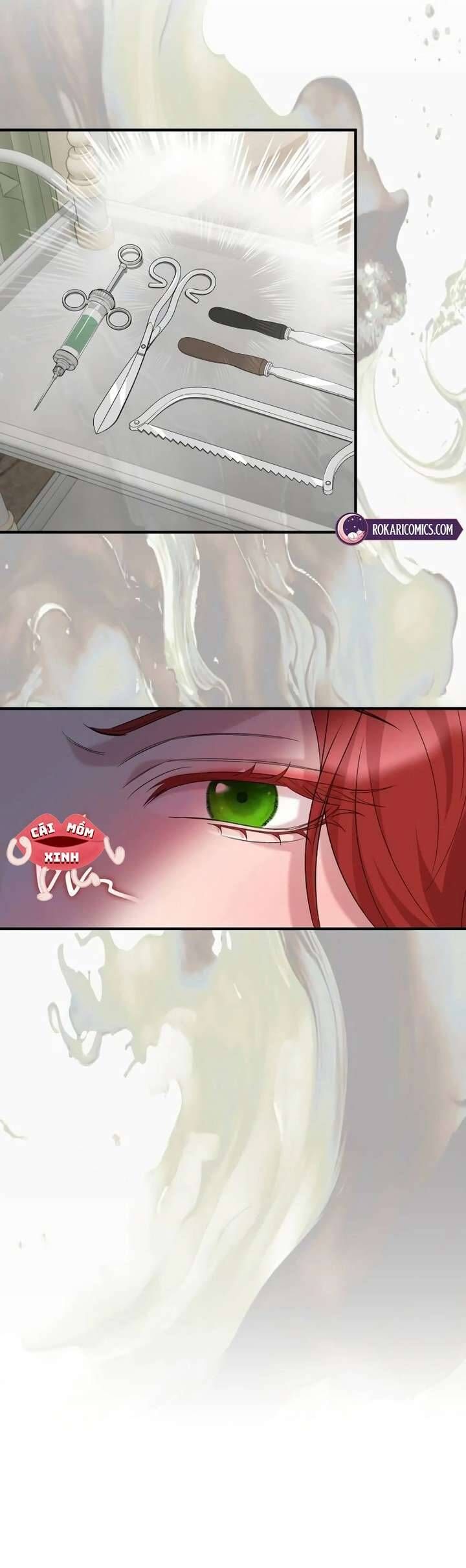 Vào Ngày Mà Chị Gái Tôi Qua Đời Chap 20 - Next Chap 21