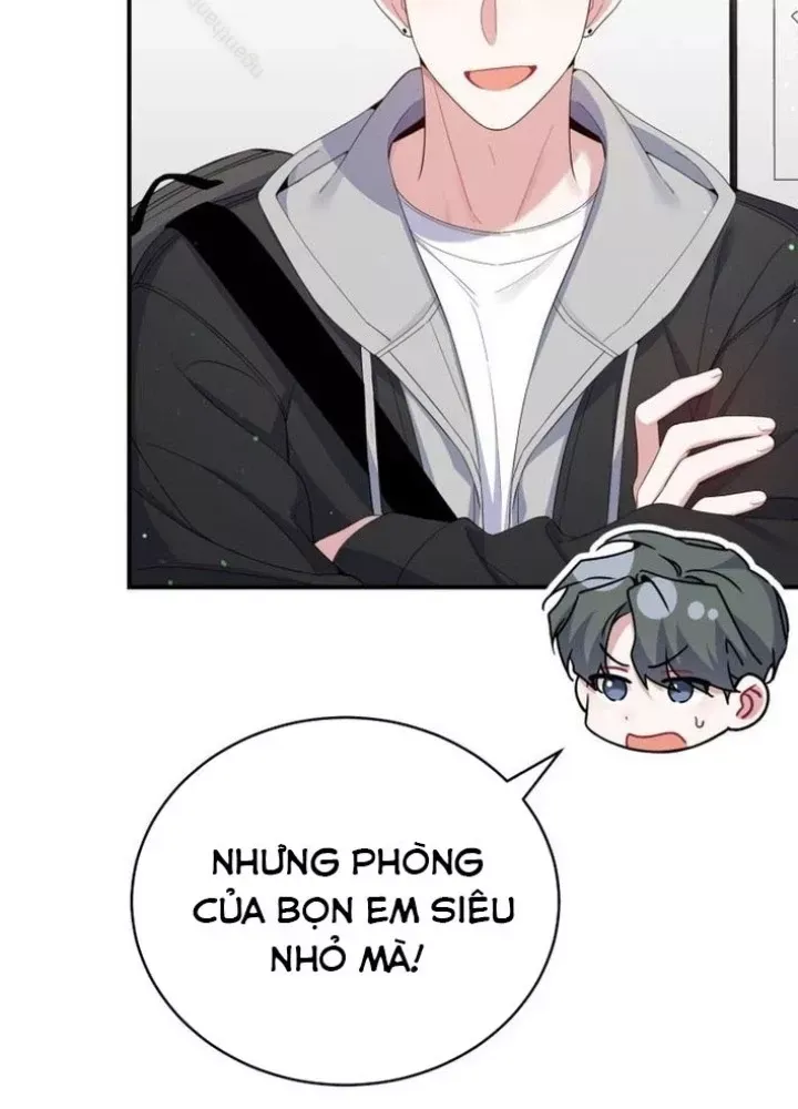 Hướng Dẫn Hồi Quy Dành Cho Thần Tượng Chap 51 - Next Chap 52