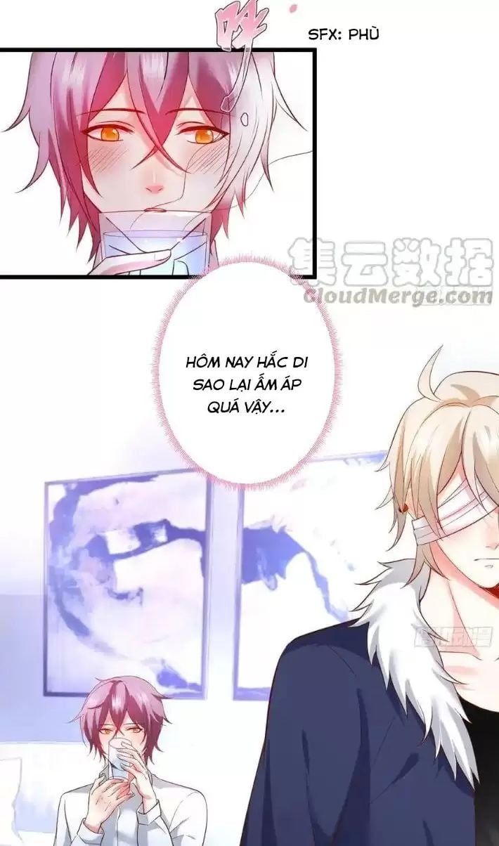 Hắc Đạo Đáng Yêu Chap 166 - Next Chap 167
