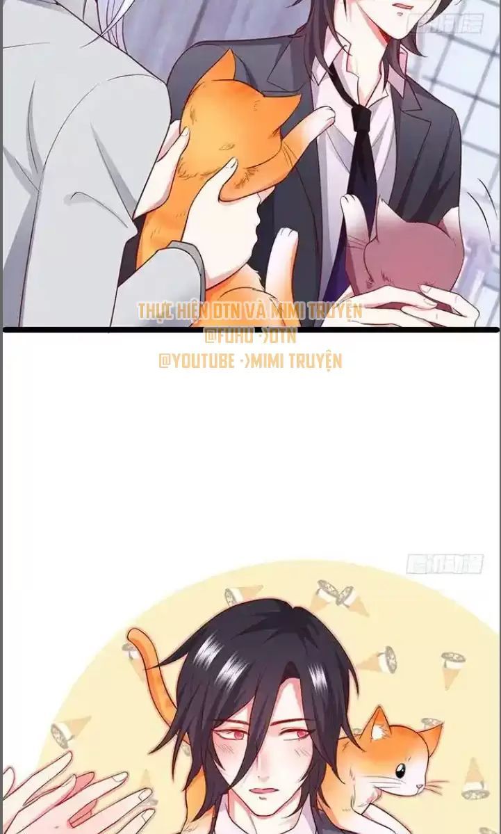 Hắc Đạo Đáng Yêu Chap 176 - Next Chap 177