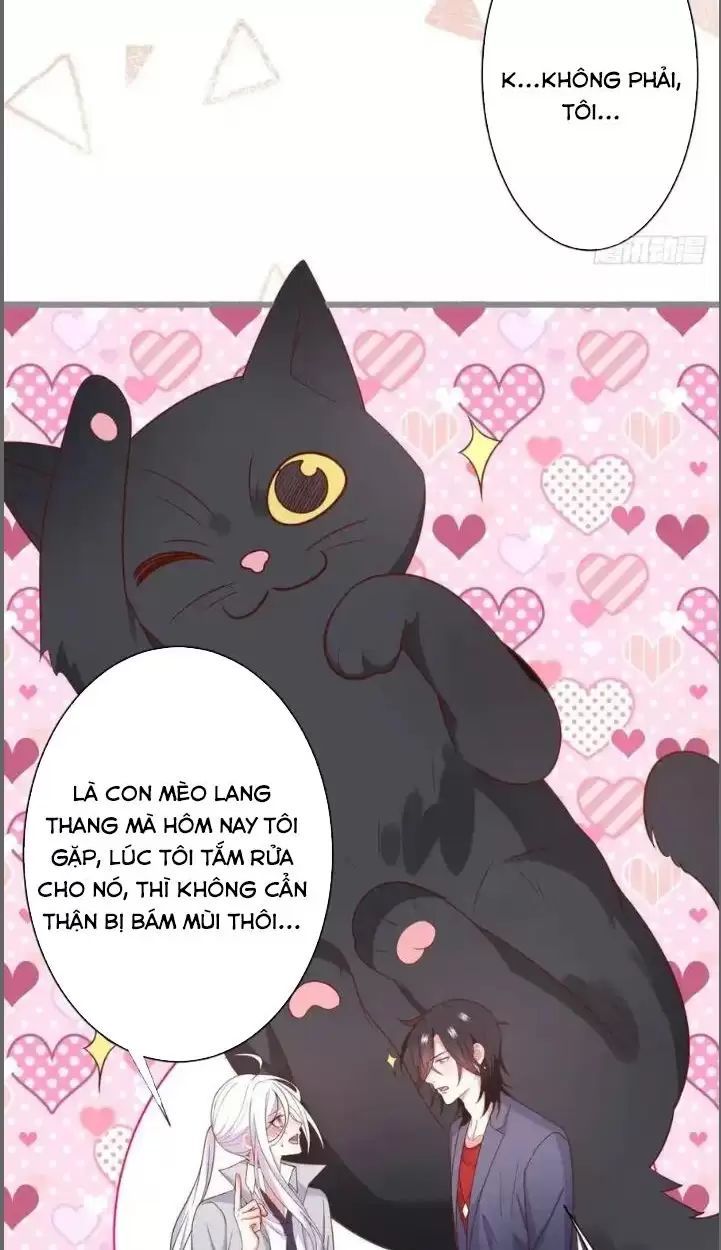 Hắc Đạo Đáng Yêu Chap 234 - Next Chap 235