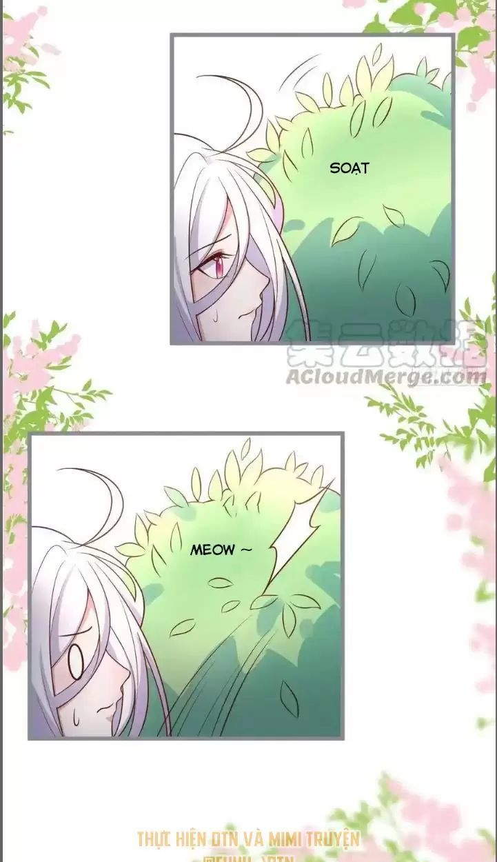 Hắc Đạo Đáng Yêu Chap 234 - Next Chap 235