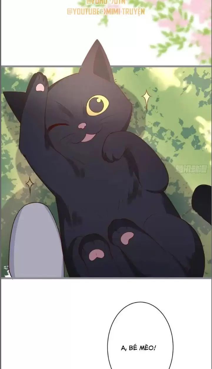 Hắc Đạo Đáng Yêu Chap 234 - Next Chap 235