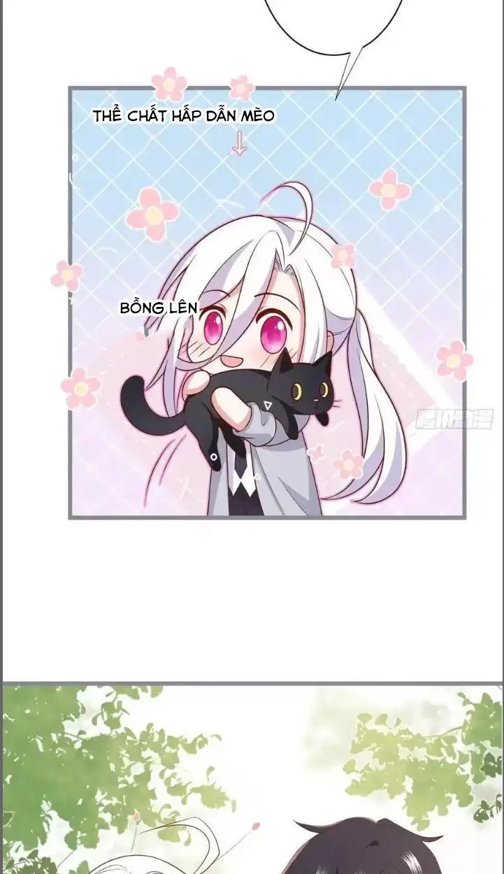 Hắc Đạo Đáng Yêu Chap 234 - Next Chap 235