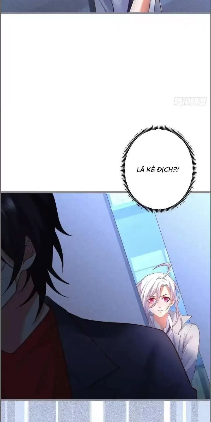 Hắc Đạo Đáng Yêu Chap 242 - Next Chap 243