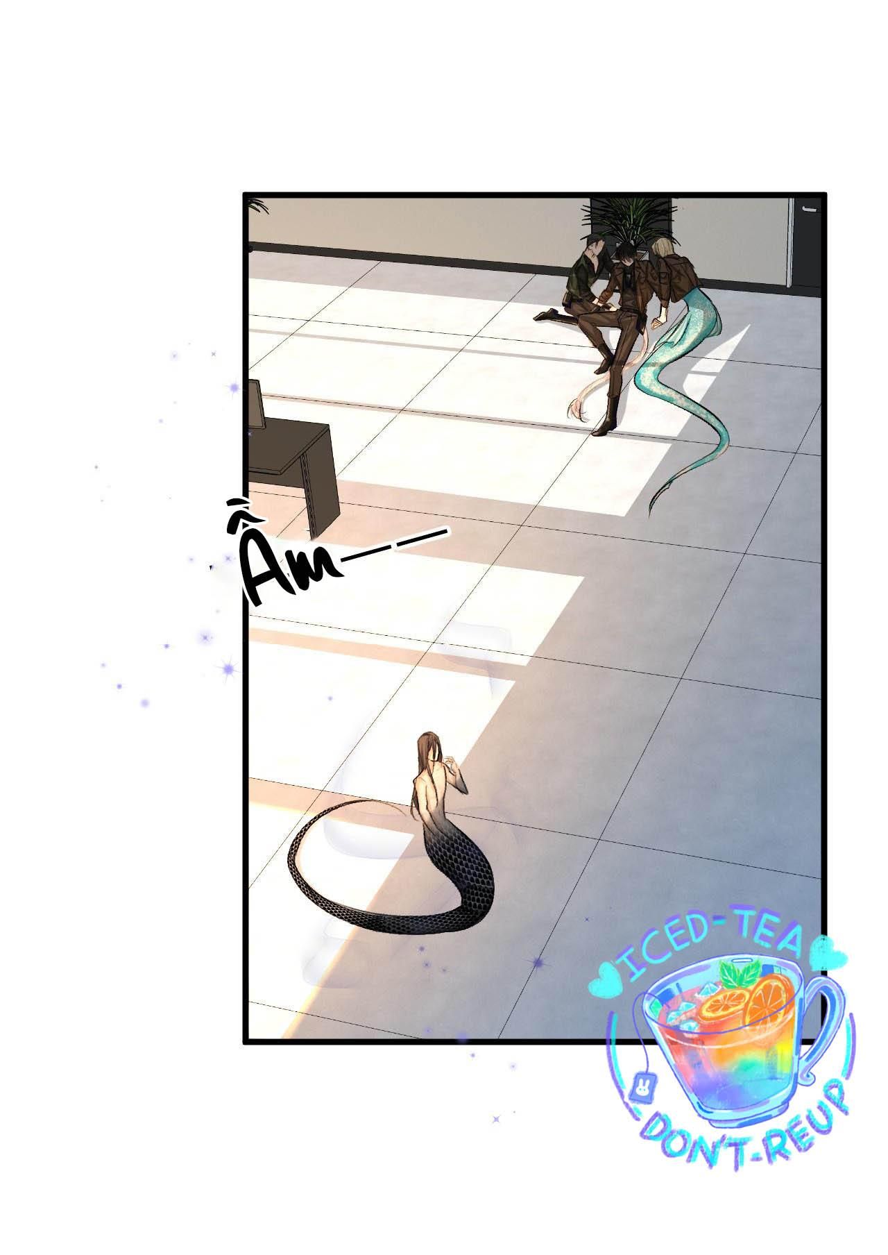 Nhân Ngư Sa Ngã Chap 18 - Next Chap 19