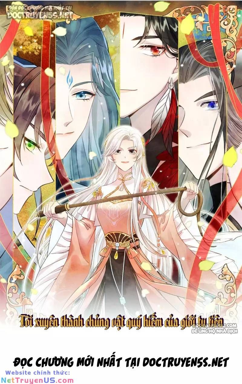 Nữ Chính Từ Trong Sách Chạy Ra Ngoài Rồi Phải Làm Sao Đây Chap 33 - Next Chap 34