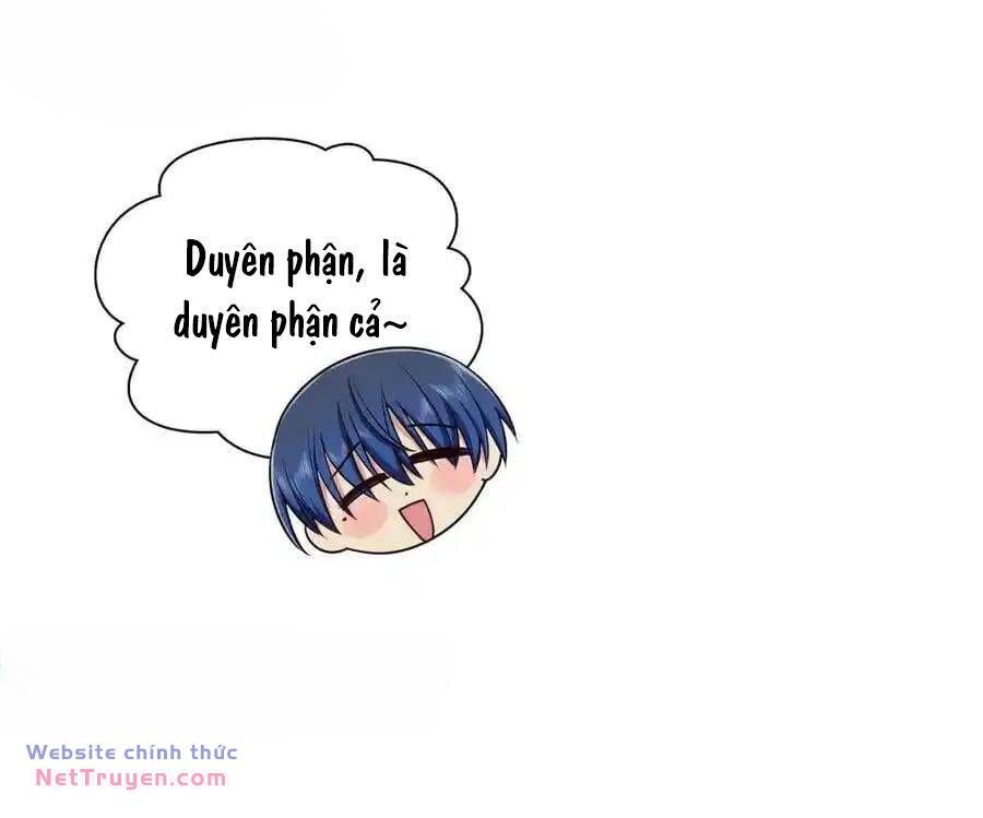 Vợ Ơi, Xin Hãy Ngoan Ngoãn Nhé Chap 65 - Next Chap 66