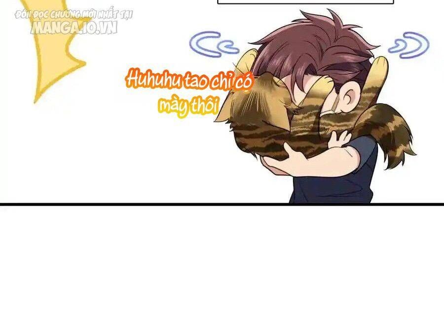 Vợ Ơi, Xin Hãy Ngoan Ngoãn Nhé Chap 66 - Next Chap 67