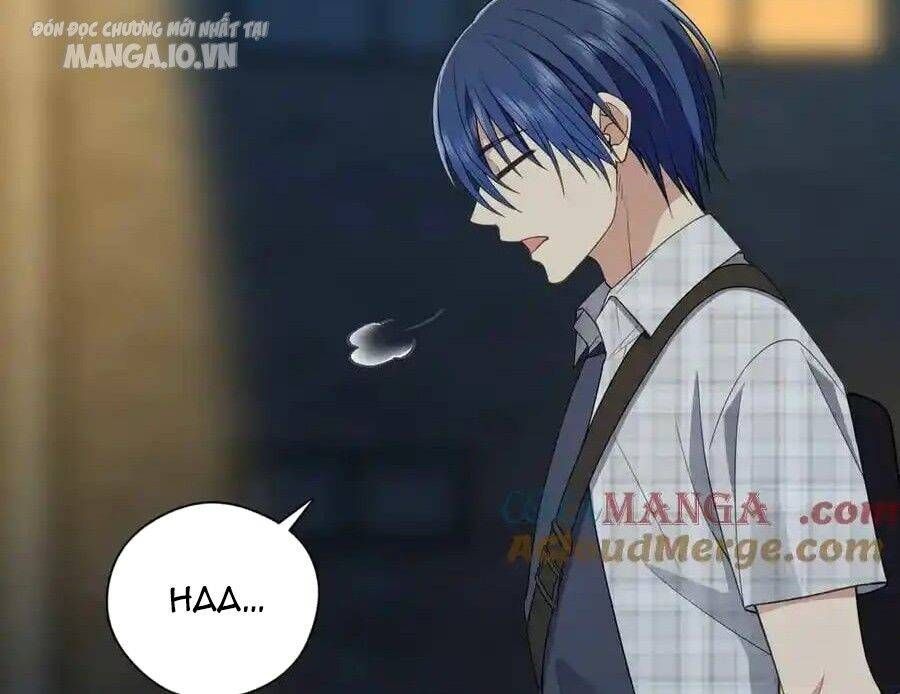 Vợ Ơi, Xin Hãy Ngoan Ngoãn Nhé Chap 66 - Next Chap 67