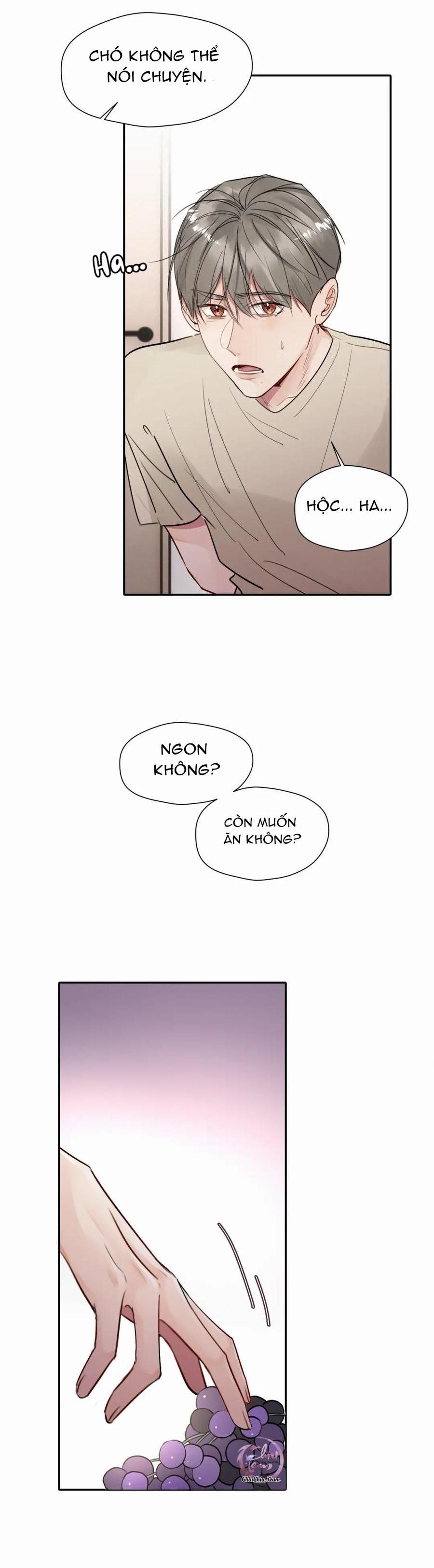 Chó Chuộc Tội Chap 15 - Next Chap 16