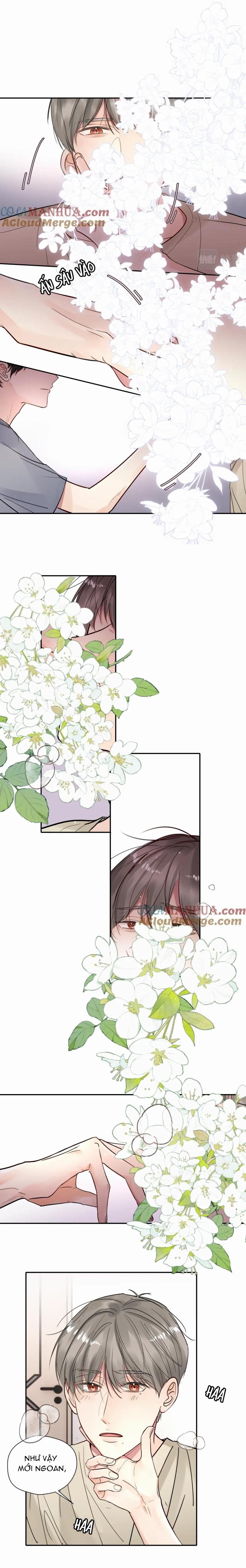 Chó Chuộc Tội Chap 15 - Next Chap 16