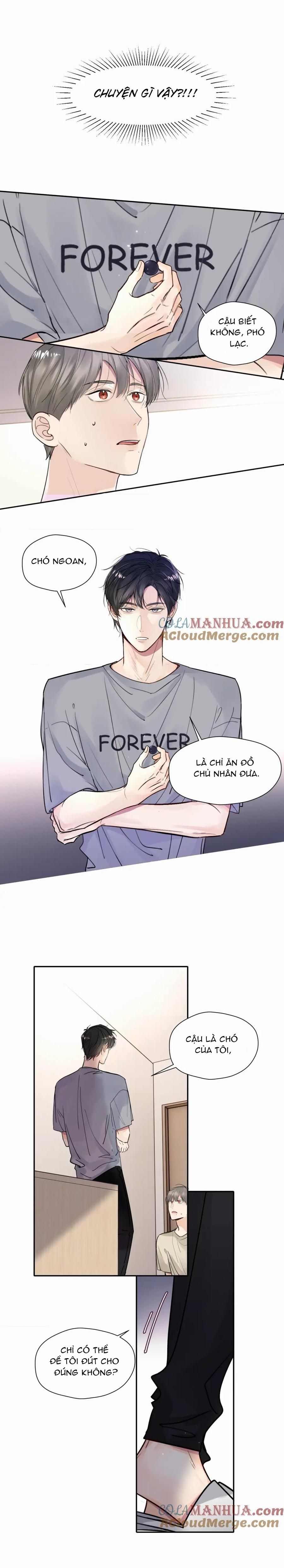 Chó Chuộc Tội Chap 15 - Next Chap 16