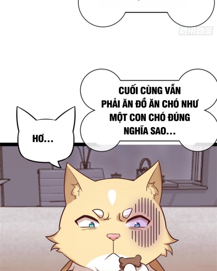 Kế Hoạch Nuôi Dưỡng Streamer Của Cẩu Hoàng Chap 1 - Next Chap 2