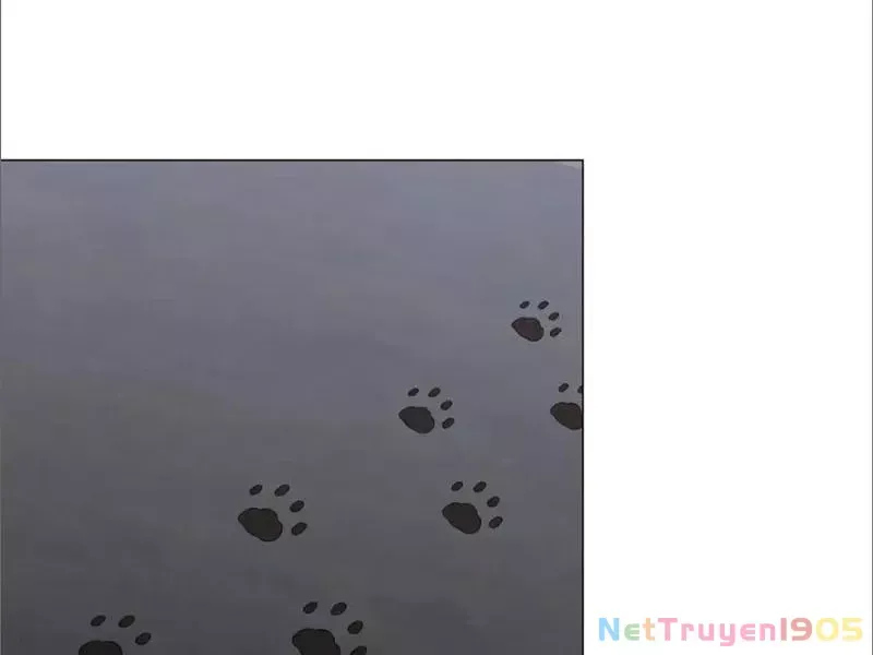 Kế Hoạch Nuôi Dưỡng Streamer Của Cẩu Hoàng Chap 19 - Next Chap 20