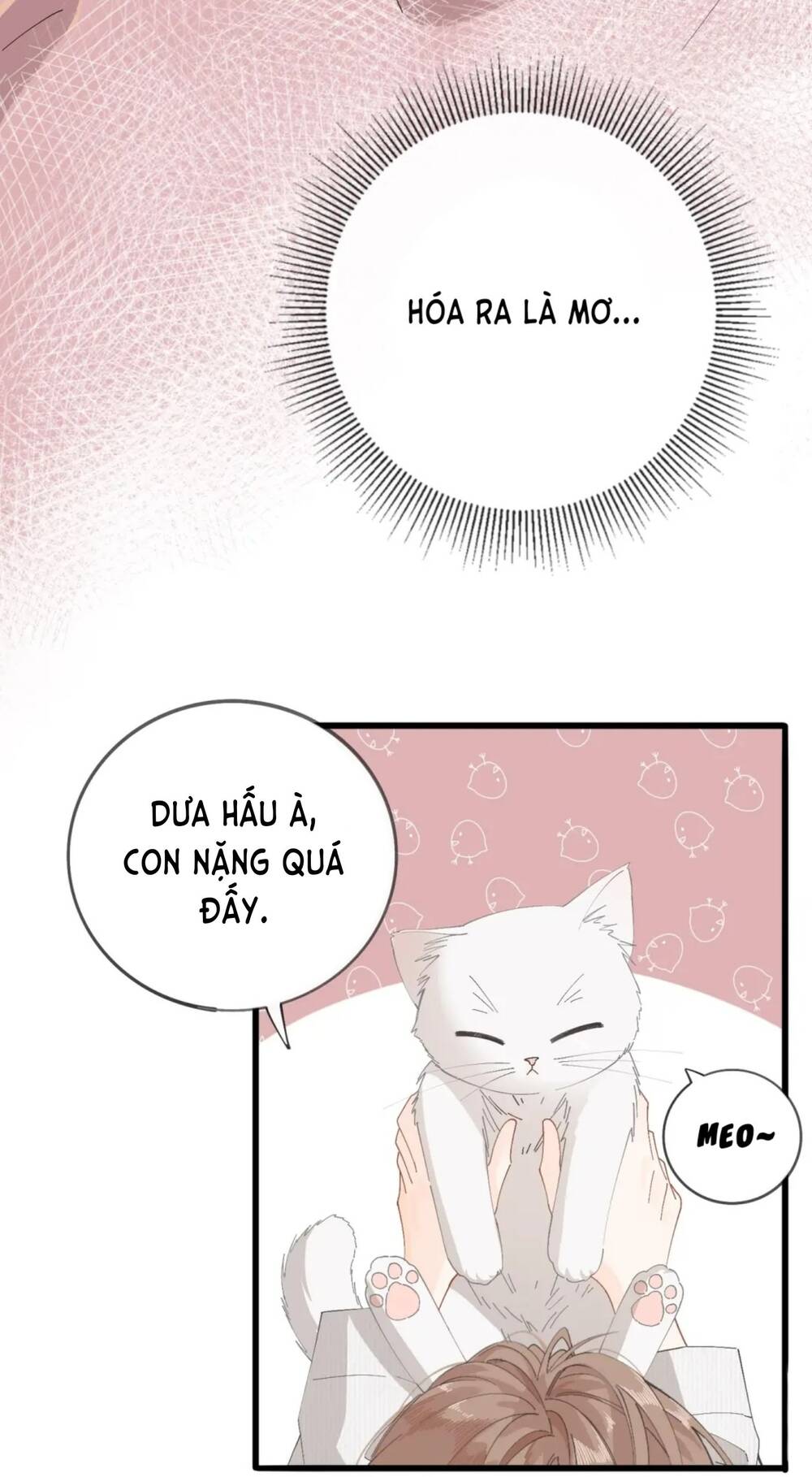 Chị Gái Lại Toang Nữa Rồi Chap 1 - Next Chap 2