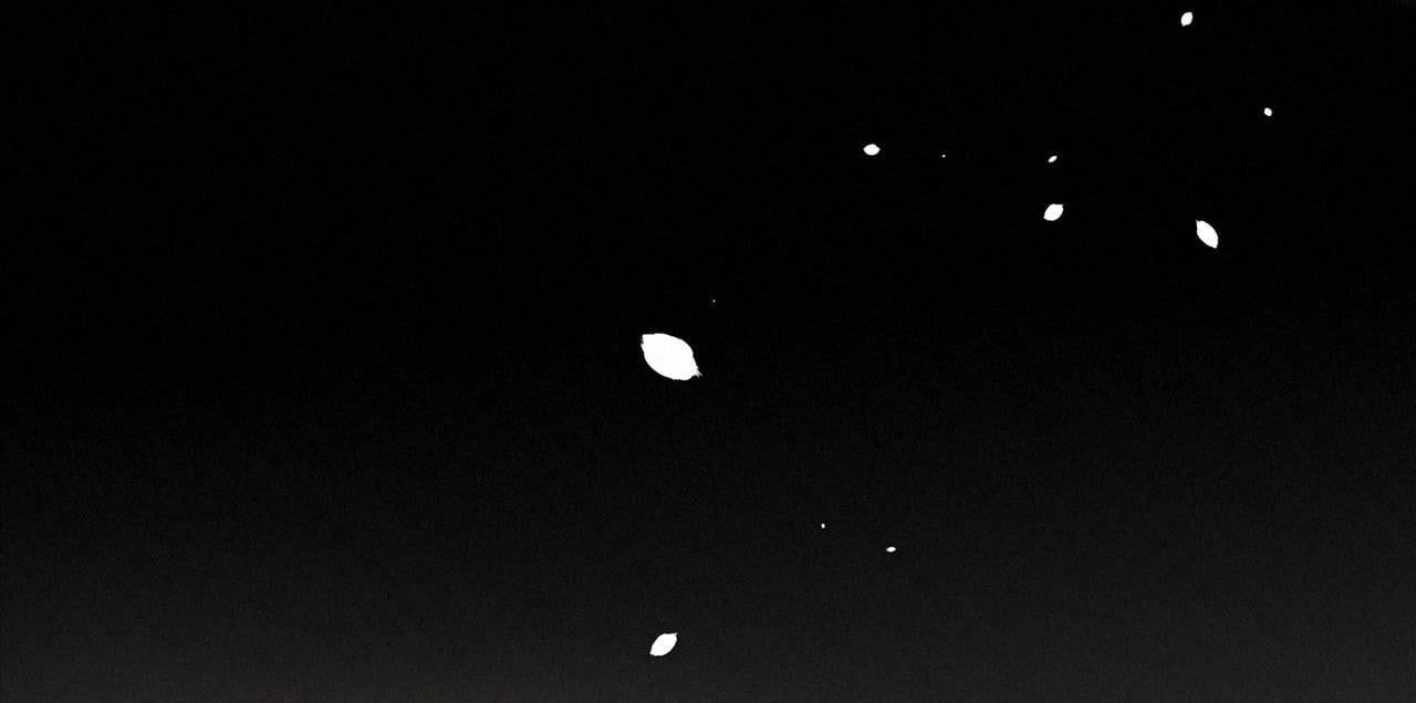 Trỗi Dậy Từ Tro Tàn Chap 15 - Next Chap 16