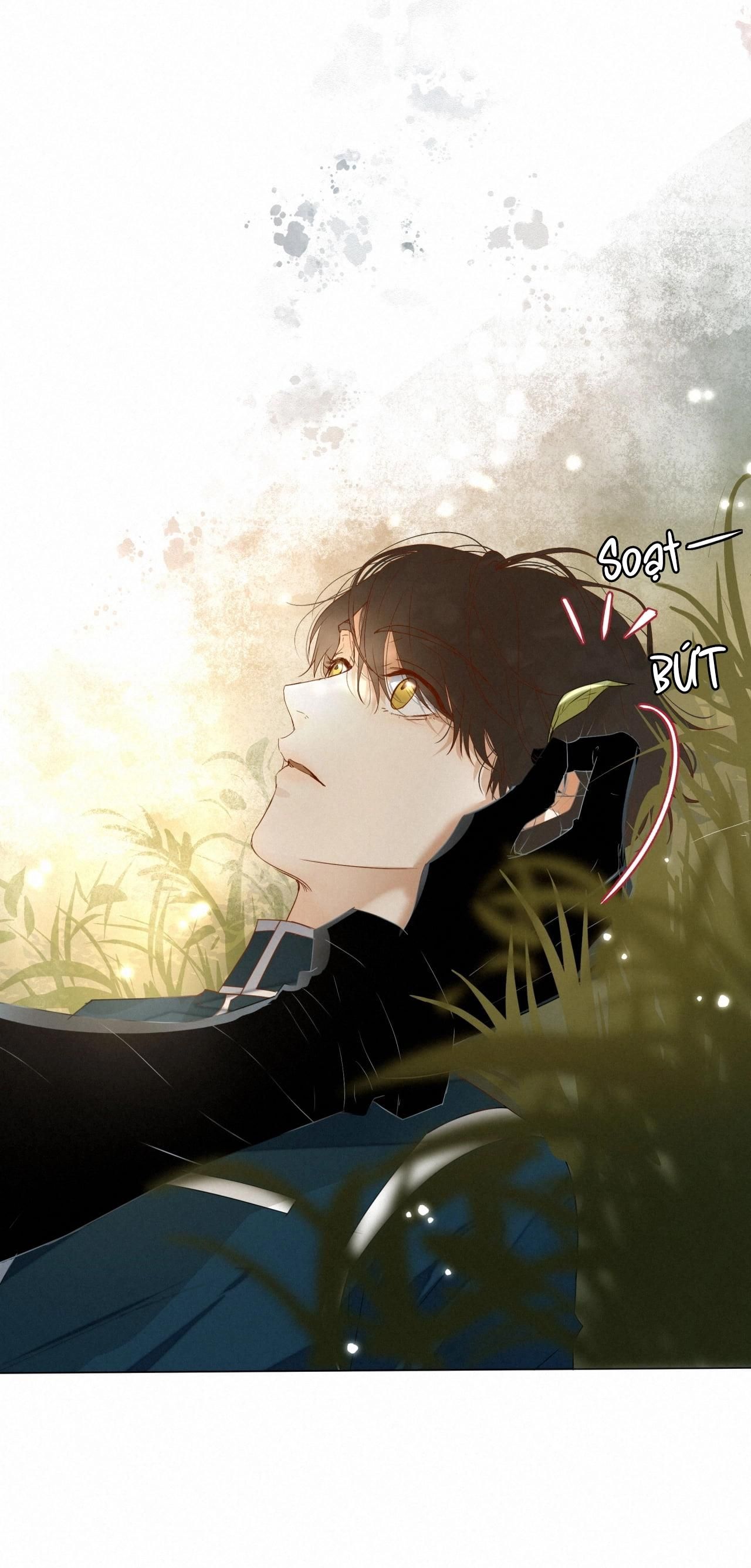 Trỗi Dậy Từ Tro Tàn Chap 16 - Next Chap 17