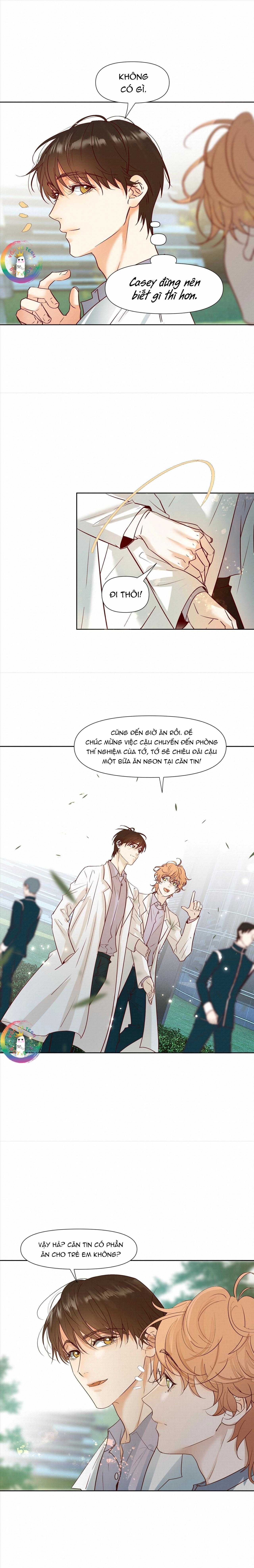 Trỗi Dậy Từ Tro Tàn Chap 44 - Next Chap 45