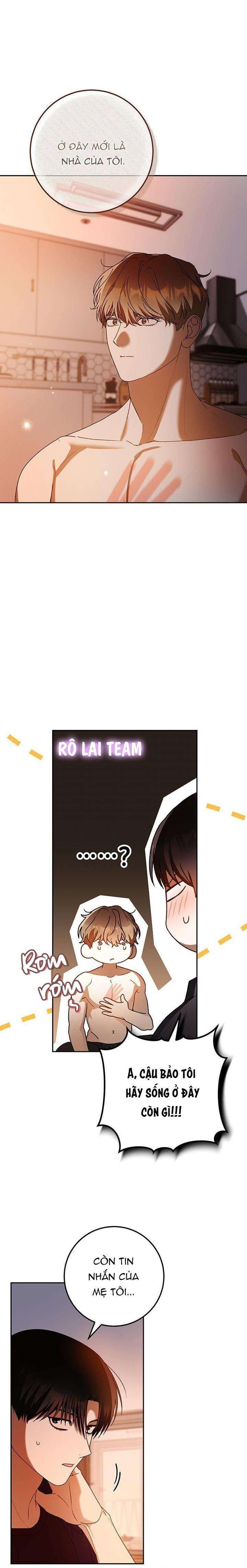 Cú Đấm Netkama Chap 81 - Next Chap 82
