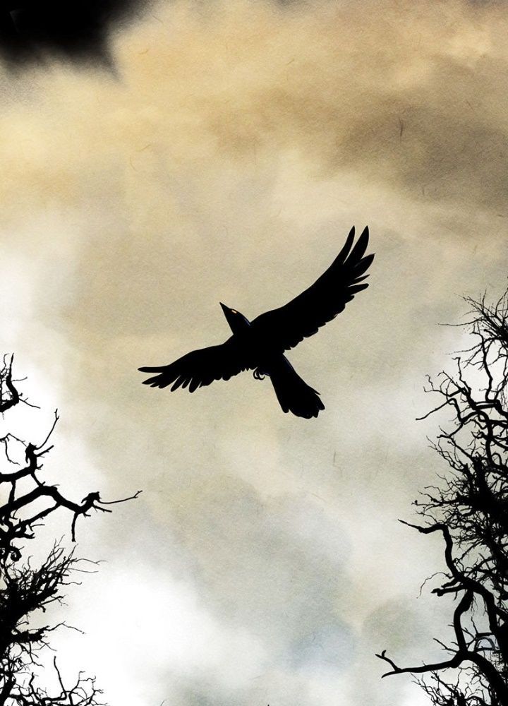 Học Viện Nevermore Chap 1 - Next Chap 2