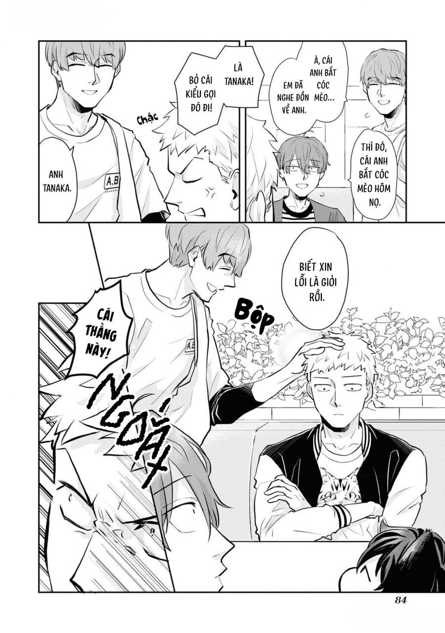 Anh Mèo Đẹp Trai Muốn Được Bạn Bao Nuôi Chap 5 - Next Chap 6