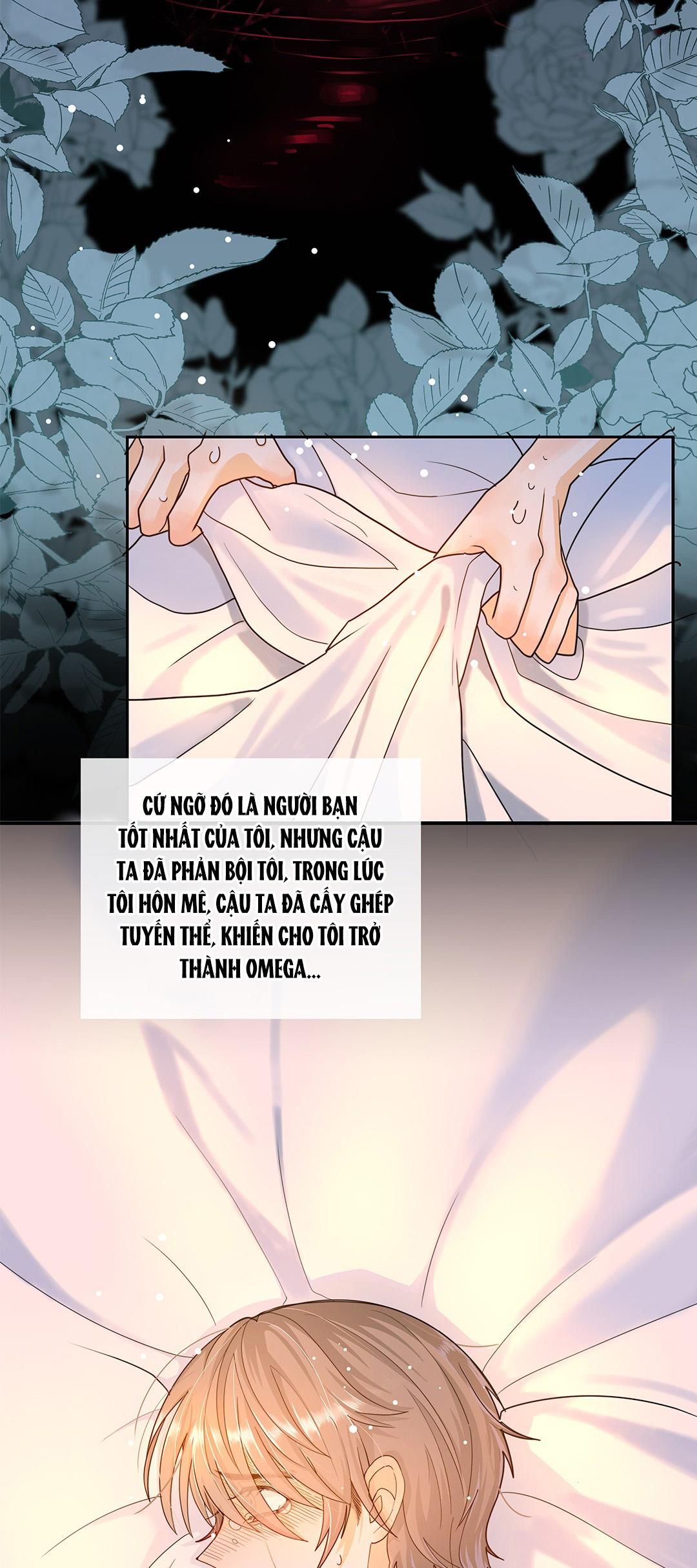 Sự Phù Hợp Muộn Màng Chap 3 - Next Chap 4