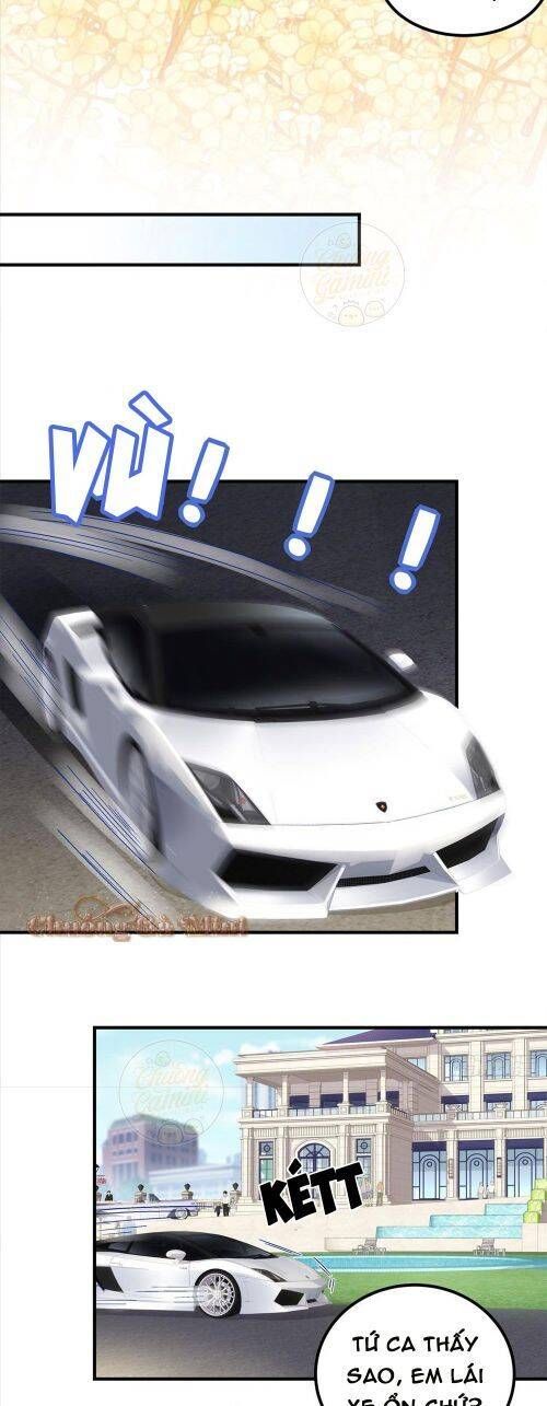 Bảo Bối Tâm Gan Của Lão Đại Xuyên Không Trở Lại Rồi Chap 60 - Next Chap 61