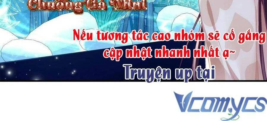 Bảo Bối Tâm Gan Của Lão Đại Xuyên Không Trở Lại Rồi Chap 77 - Next Chap 78