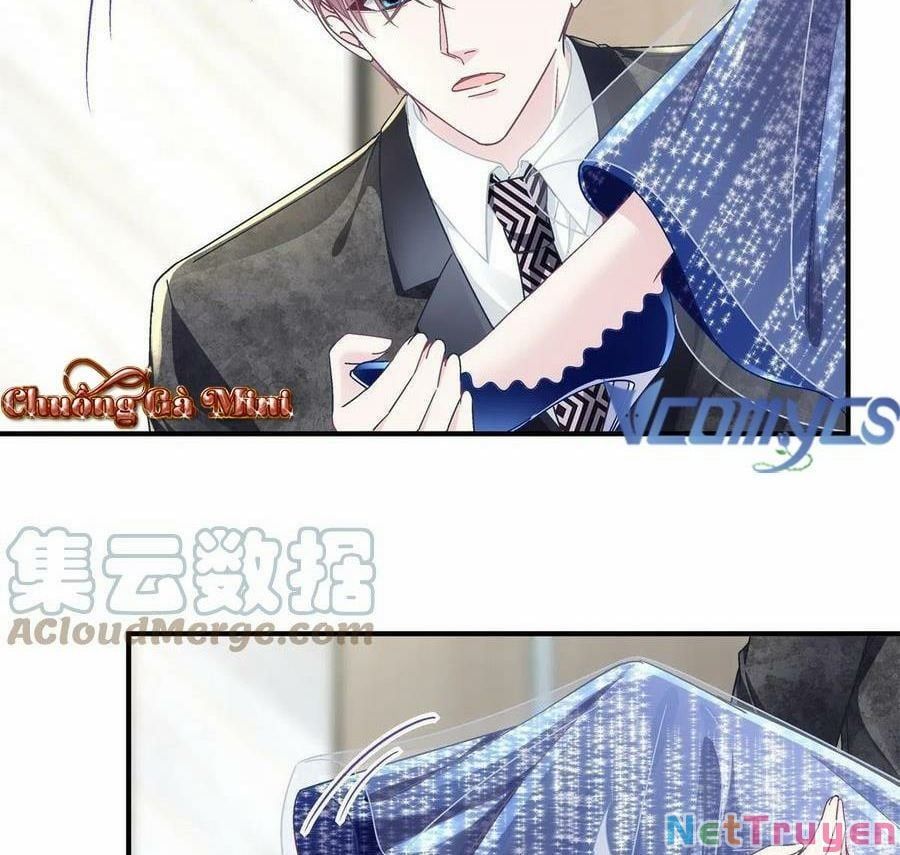 Bảo Bối Tâm Gan Của Lão Đại Xuyên Không Trở Lại Rồi Chap 89 - Next Chap 90