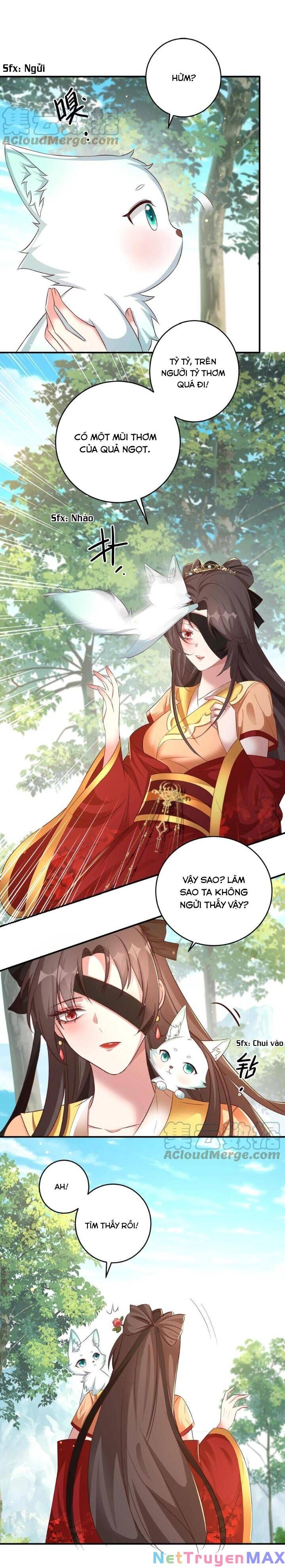 Chuyển Sinh: Thần Y Quận Chúa Khuynh Thiên Hạ Chap 19 - Next Chap 20