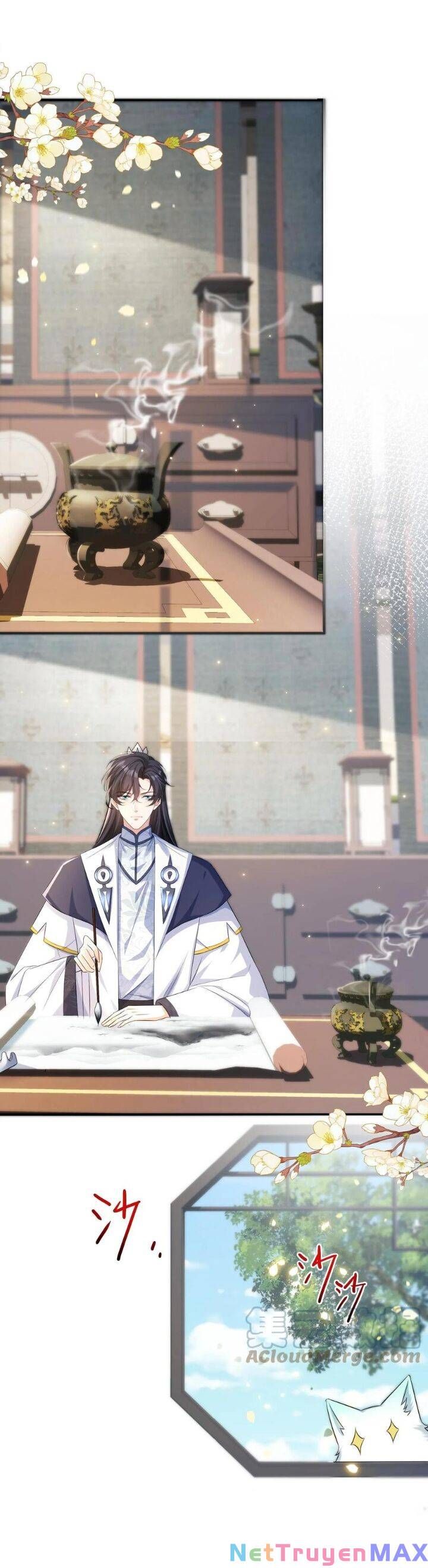 Chuyển Sinh: Thần Y Quận Chúa Khuynh Thiên Hạ Chap 23 - Next Chap 24