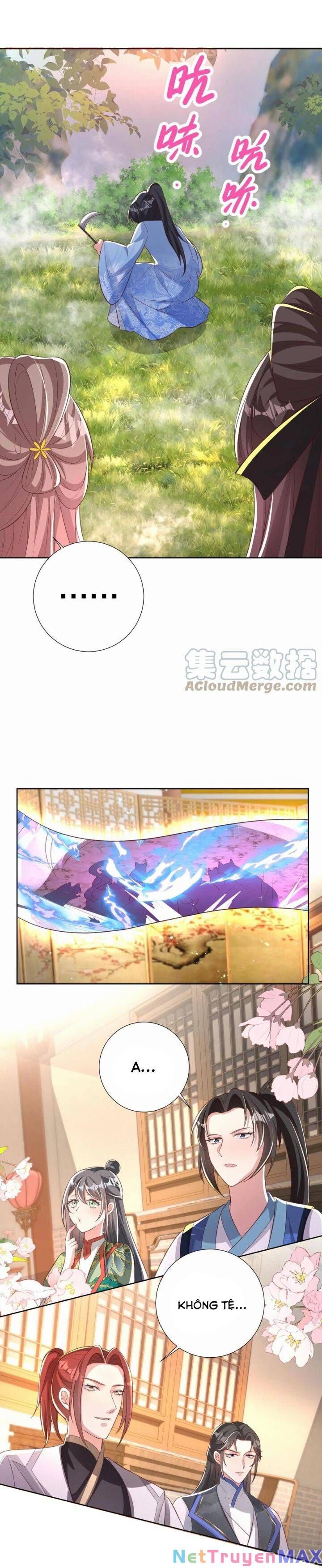 Chuyển Sinh: Thần Y Quận Chúa Khuynh Thiên Hạ Chap 46 - Next Chap 47